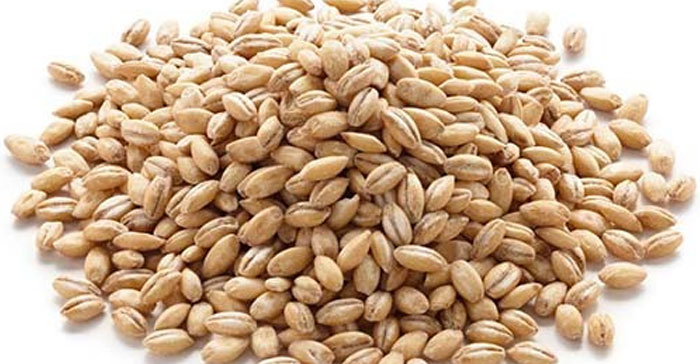 Barley Rice